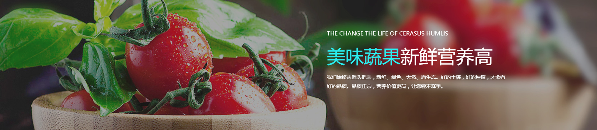 在線(xiàn)訂購