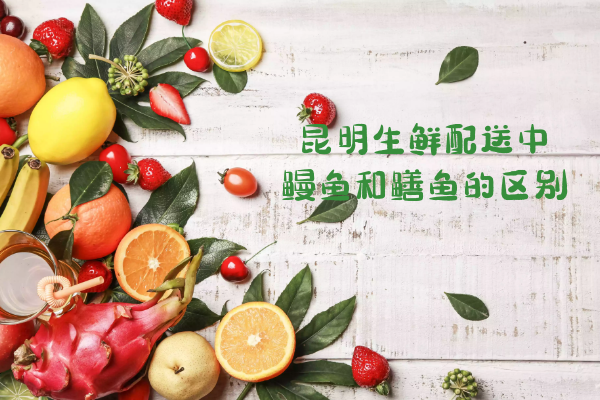 鰻魚(yú)和鱔魚(yú)的區別有哪些？