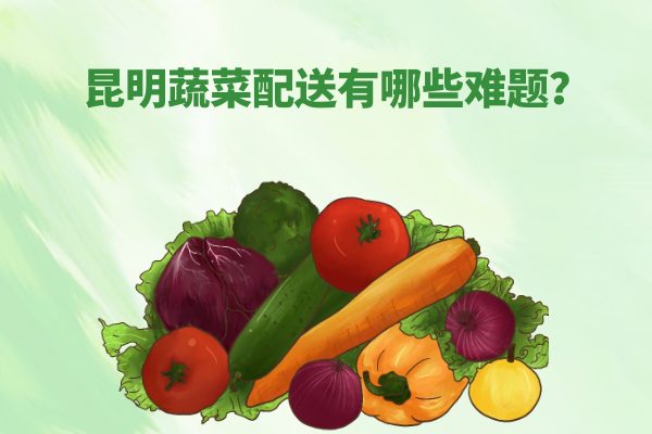 昆明蔬菜配送有哪些難題？