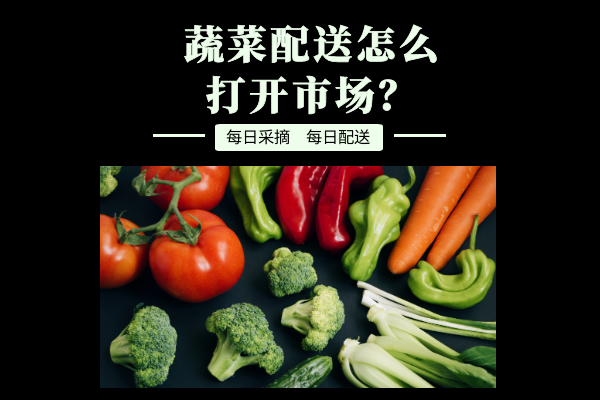 蔬菜配送怎么打開(kāi)市場(chǎng)？