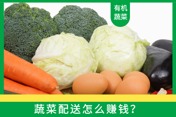 蔬菜配送怎么賺錢(qián)？