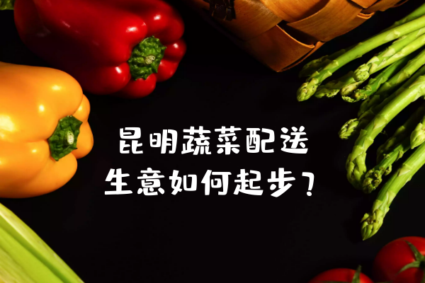 昆明蔬菜配送生意如何起步？