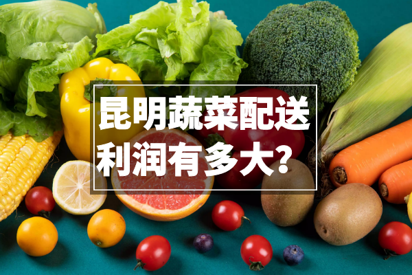 昆明蔬菜配送利潤有多大？
