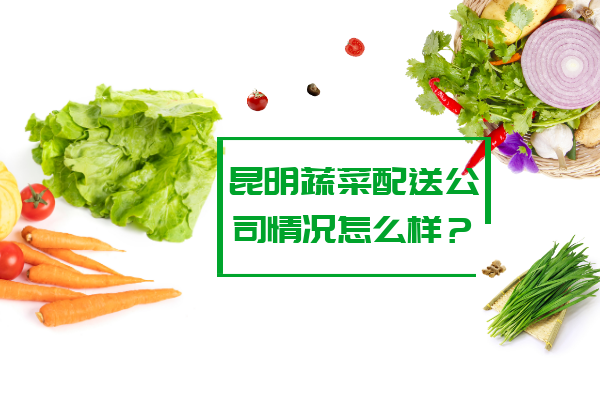 昆明蔬菜配送公司情況怎么樣？