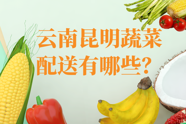 云南昆明蔬菜配送有哪些？
