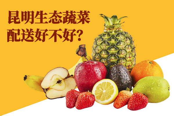 昆明生態(tài)蔬菜配送好不好？