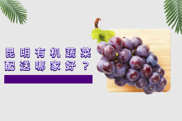 昆明有機蔬菜配送哪家好？
