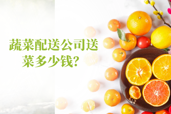 蔬菜配送公司送菜多少錢(qián)？